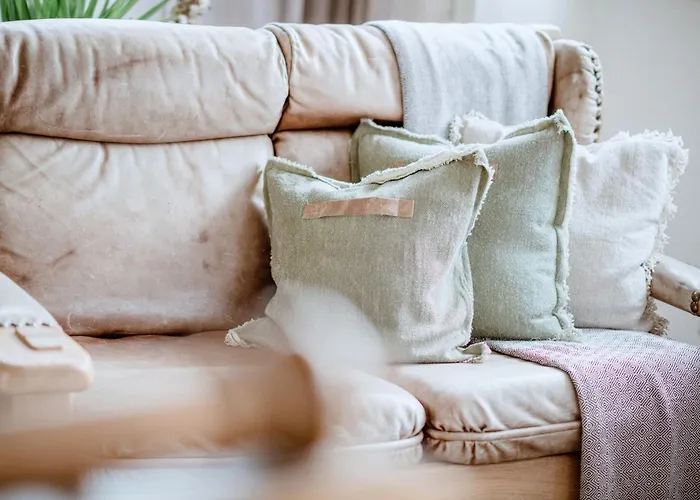 Comfort غوربمينغ